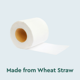 Wheat Straw Toilet Rolls NZ